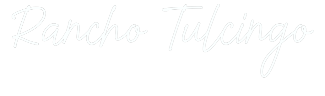 US Custom Neon: Rancho Tulcin...