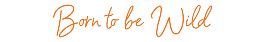 Custom Neon: Born to be Wi...