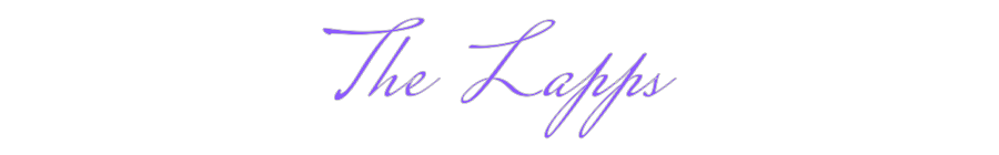 Custom Neon: The Lapps
