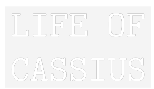 US Custom Neon: LIFE OF
CASS...