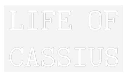 US Custom Neon: LIFE OF
CASS...