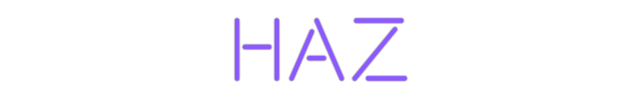 Custom Neon: Haz