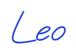 US Custom Neon: Leo